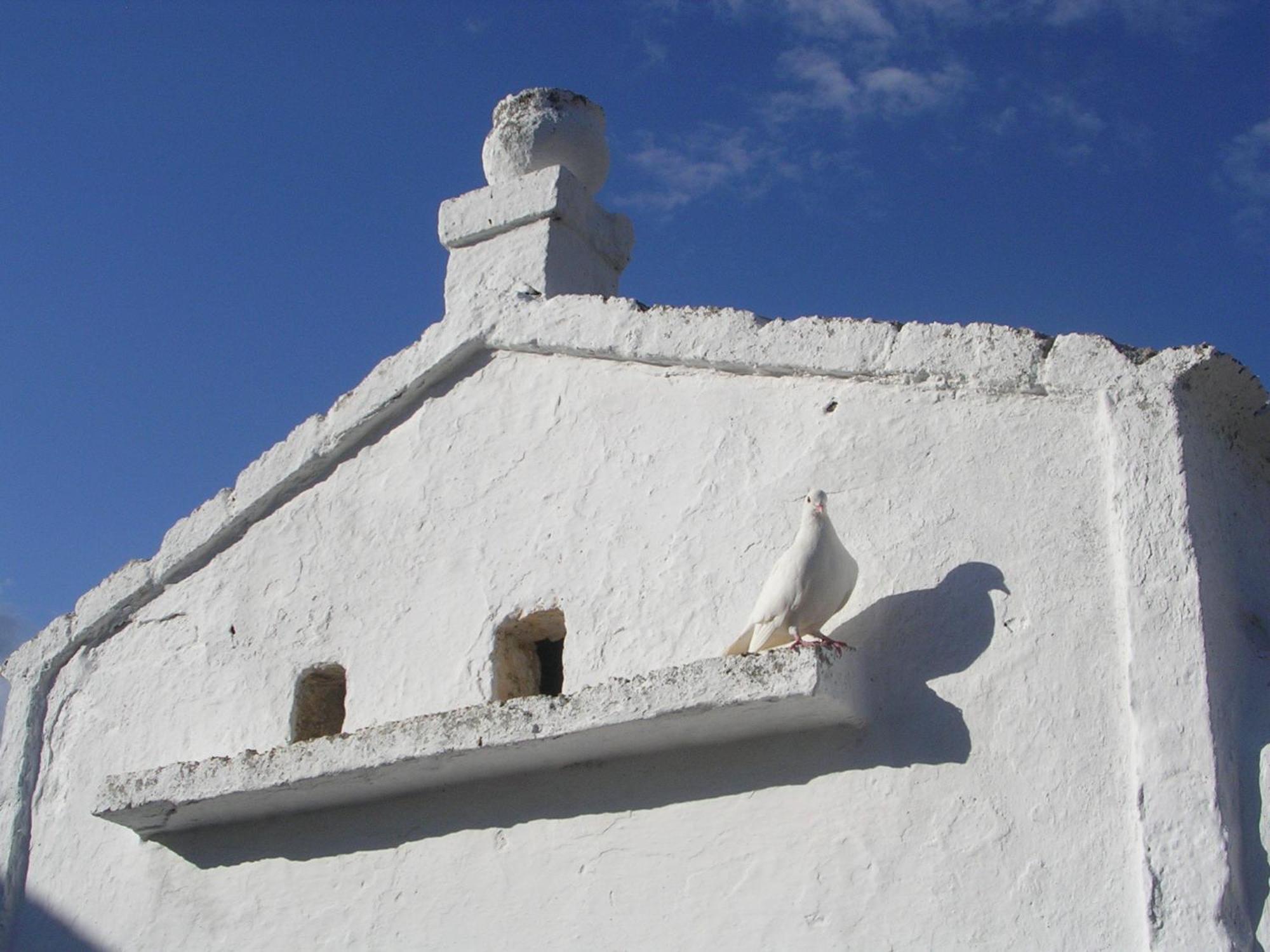 Masseria Purgatorio Fasano Ngoại thất bức ảnh