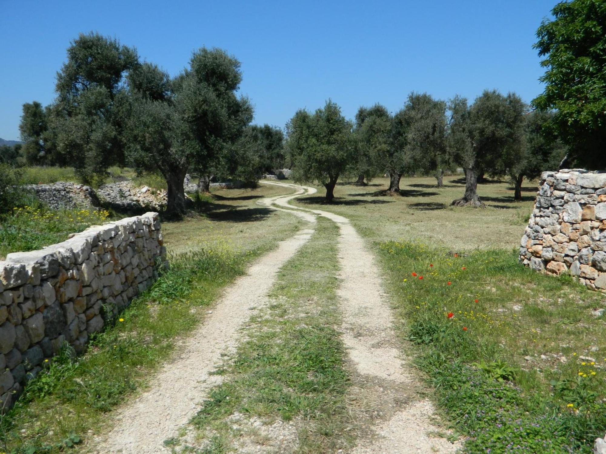Masseria Purgatorio Fasano Ngoại thất bức ảnh
