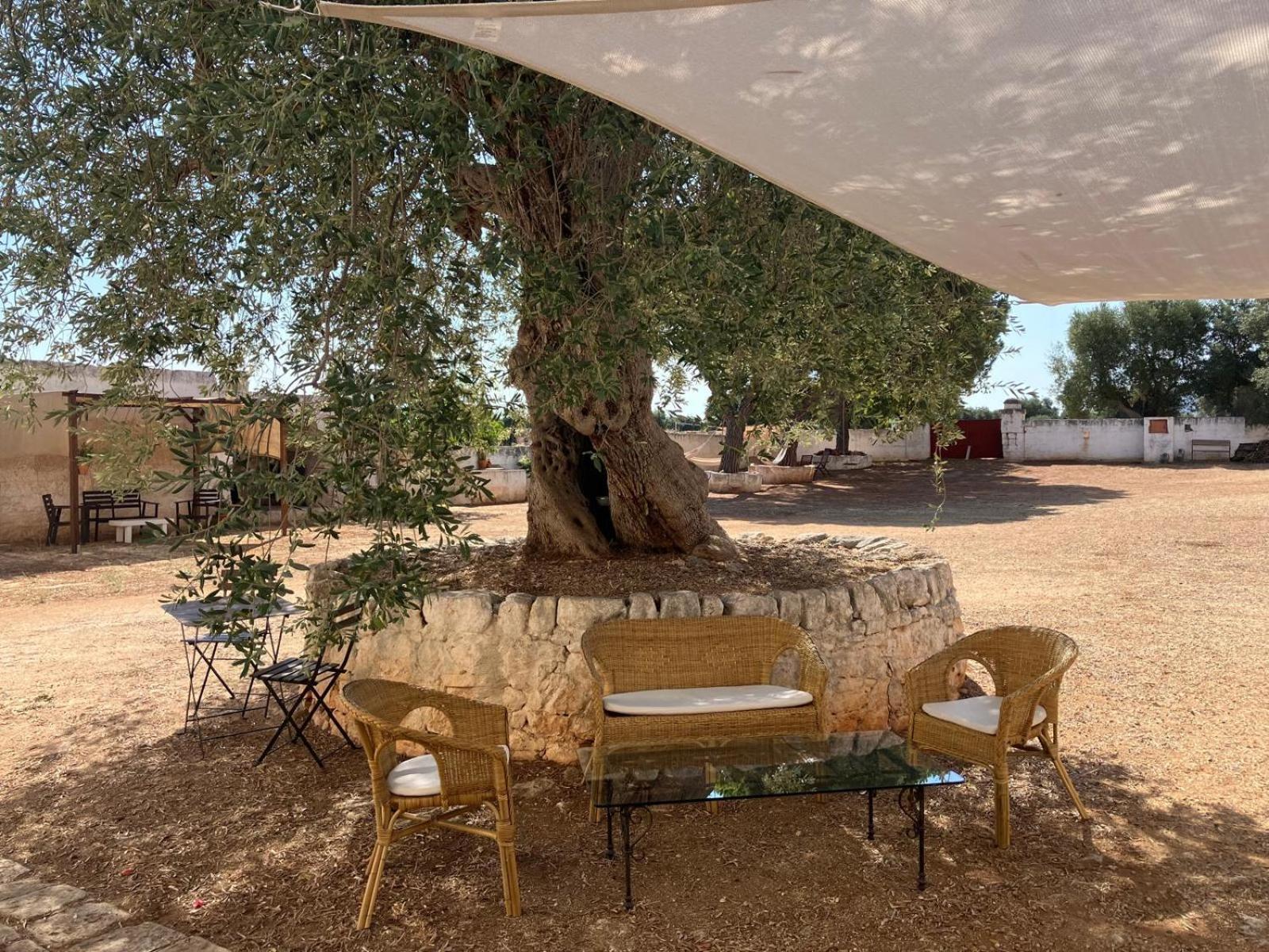 Masseria Purgatorio Fasano Ngoại thất bức ảnh