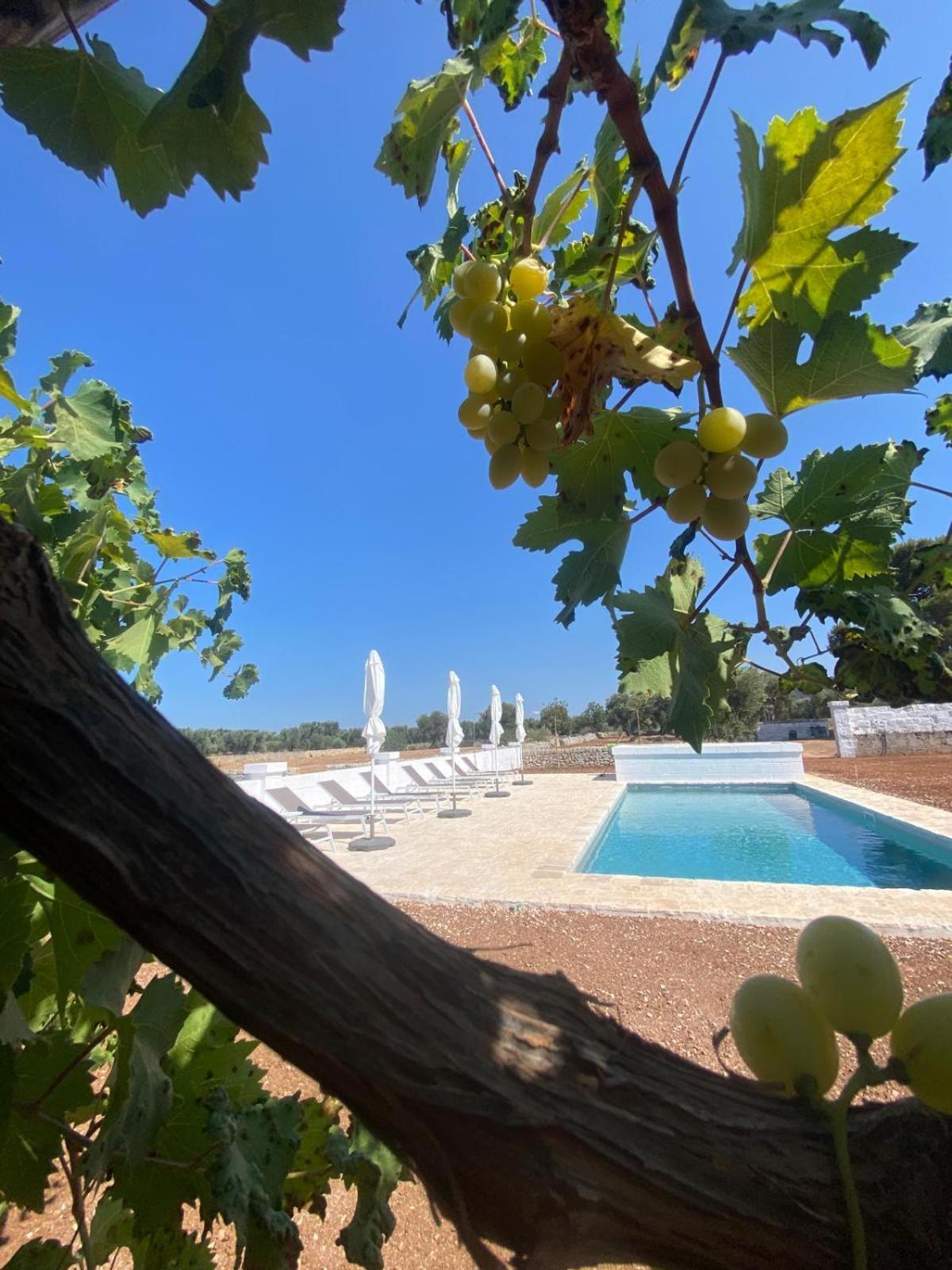 Masseria Purgatorio Fasano Ngoại thất bức ảnh